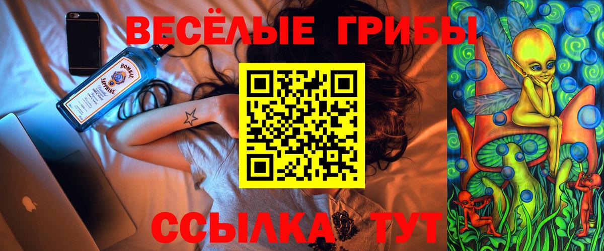 Павлово  Галлюциногенные грибы прущие грибы  Вход с VPN 
