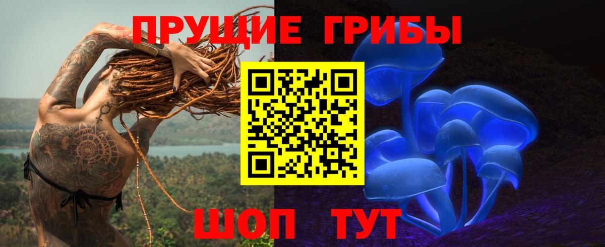 Галлюциногенные грибы MAGIC MUSHROOMS Павлово